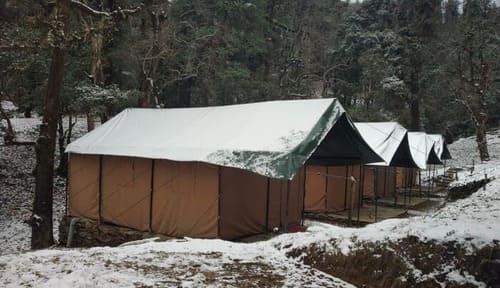 Camping in ChoptA - Flycatcher Jungle Camp