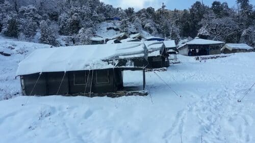 Camping in Chopta - Alpine Adventure Camp