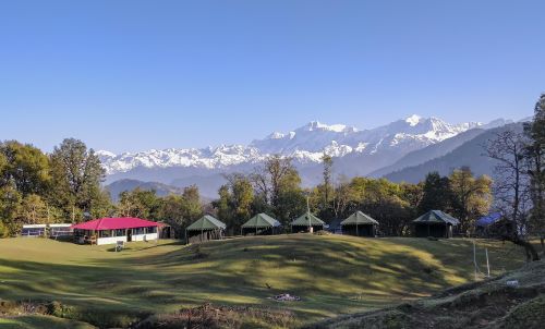 Camping in Chopta - Magpie Camps