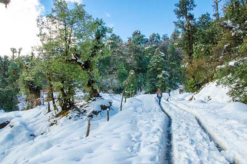 Chopta travel tips