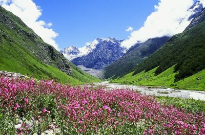 Best time to Visit Valley of Flowers