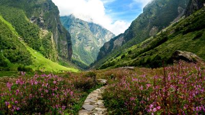 Best time to Visit Valley of Flowers