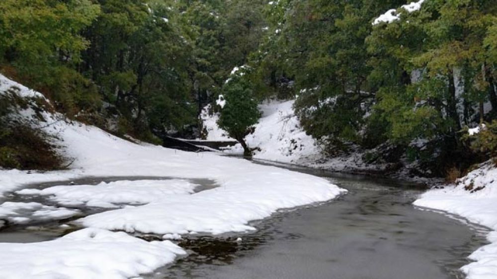 Binsar Snowfall Places in Uttrakhand