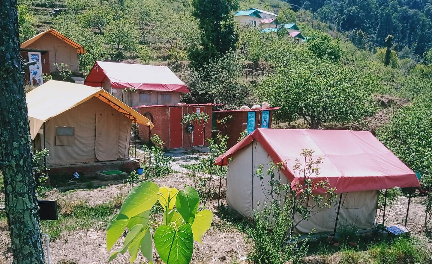 The Secret Garden Camp, Mukteshwar Photo - 6