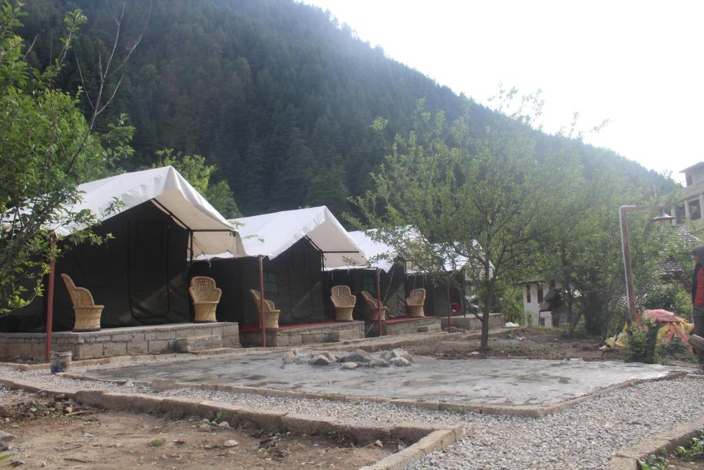 See Himalaya Camps, Kasol Photo - 6