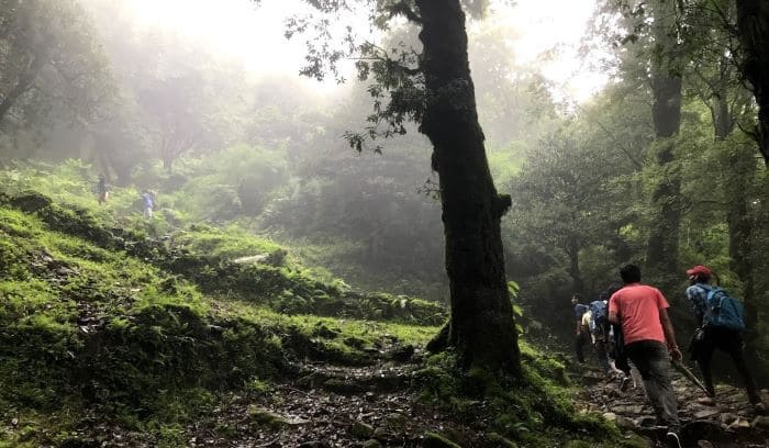 Dayara Bugyal Trek, Uttarakhand Photo - 7