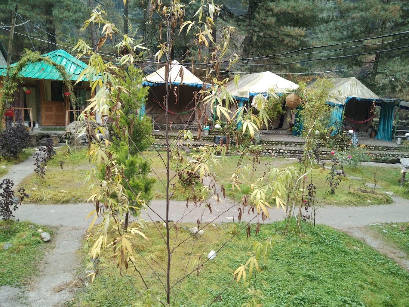 Om Himalayan Camp, kasol Photo - 7