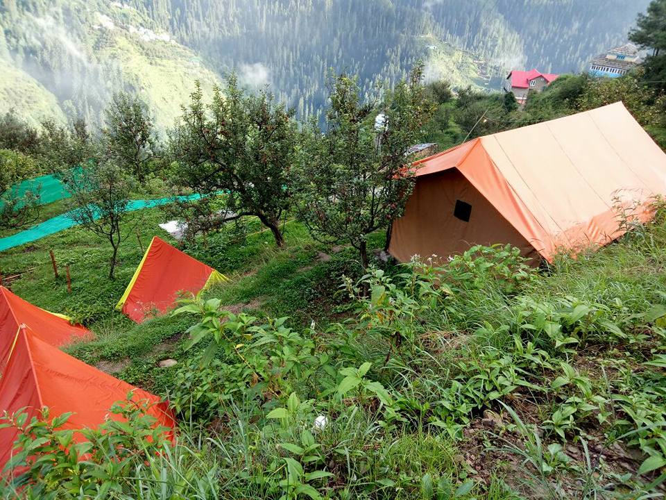 Camp Himalayan Yew, Nagrot Photo - 3
