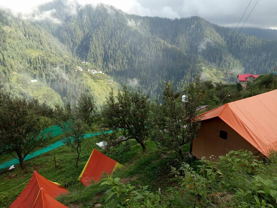 Camp Himalayan Yew, Nagrot Photo - 2