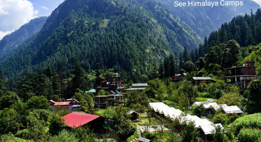 See Himalaya Camps, Kasol Photo - 1