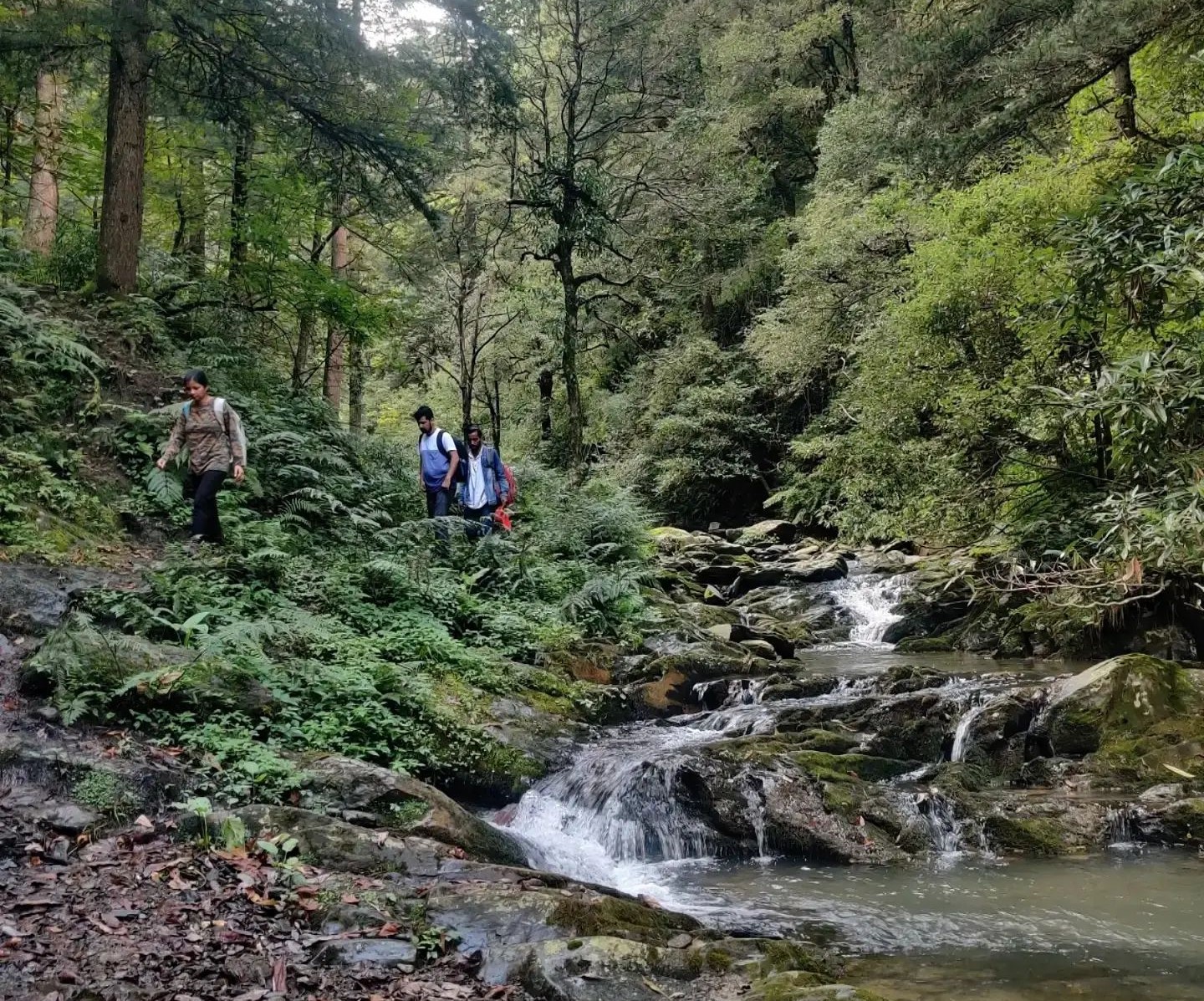 Fogg Hill Camping, Parashar lake Photo - 13