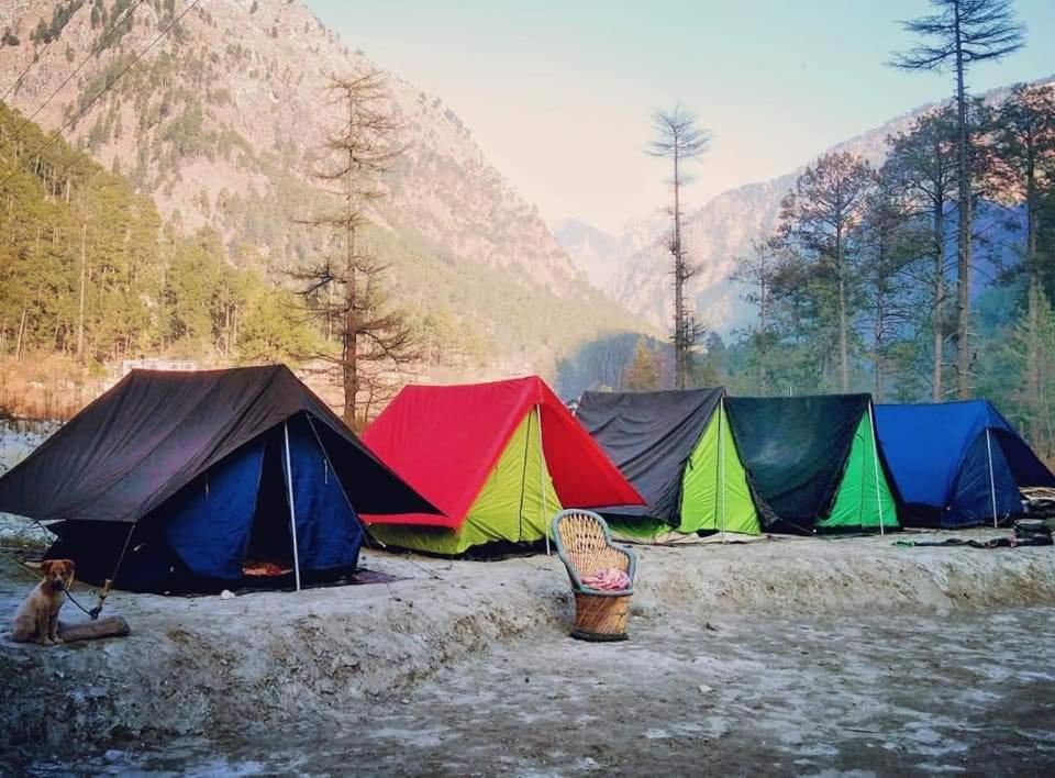 StayHigh Camp & Cottages, Kasol Photo - 0
