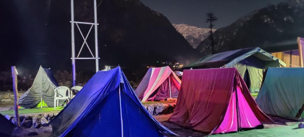 StayHigh Camp & Cottages, Kasol Photo - 5