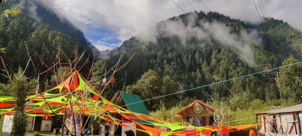 StayHigh Camp & Cottages, Kasol Photo - 8