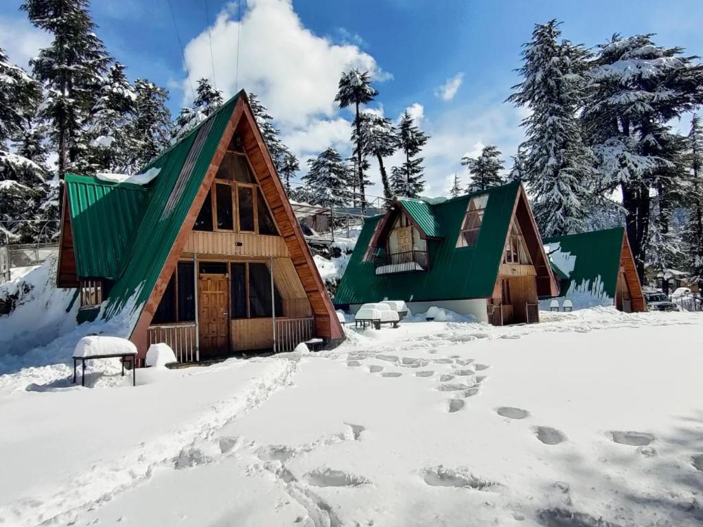 The Alpine Woods, Kufri Photo - 1