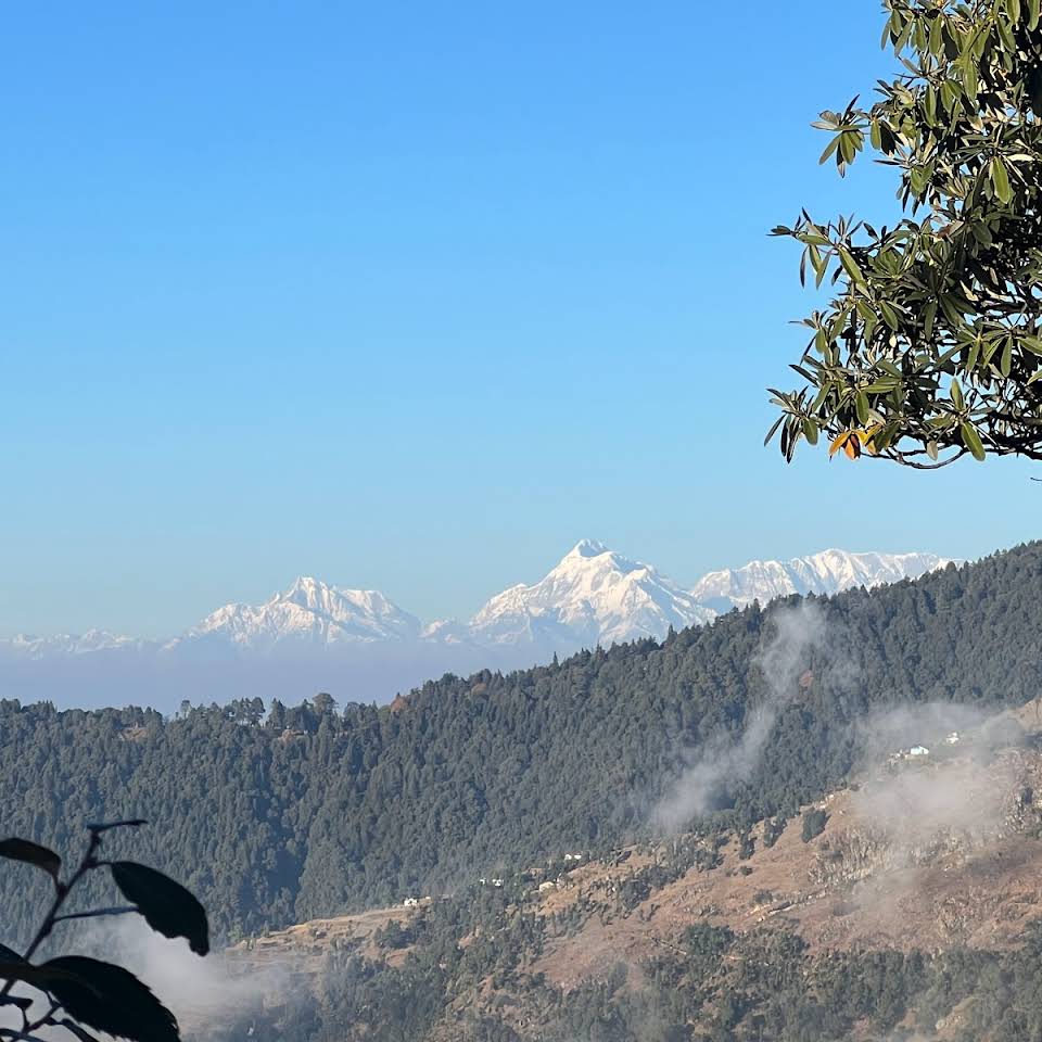 Once Upon A Forest, Nainital Photo - 11