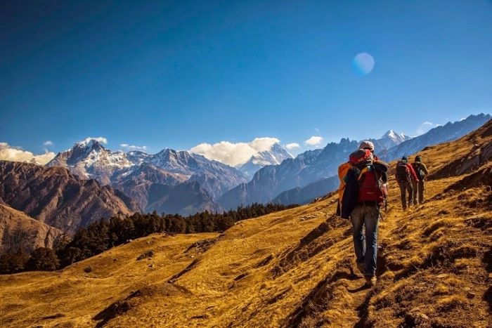 Kuari Pass Trek, Uttarakhand Photo - 14