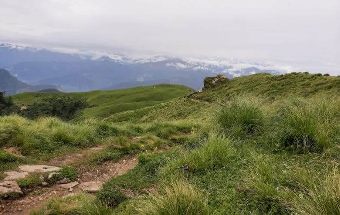 Rudranath Trek, Uttarakhand Photo - 18