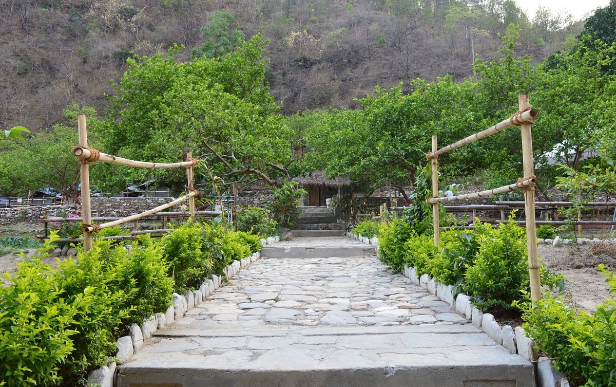 Camp Advait, Dugadda Photo - 11