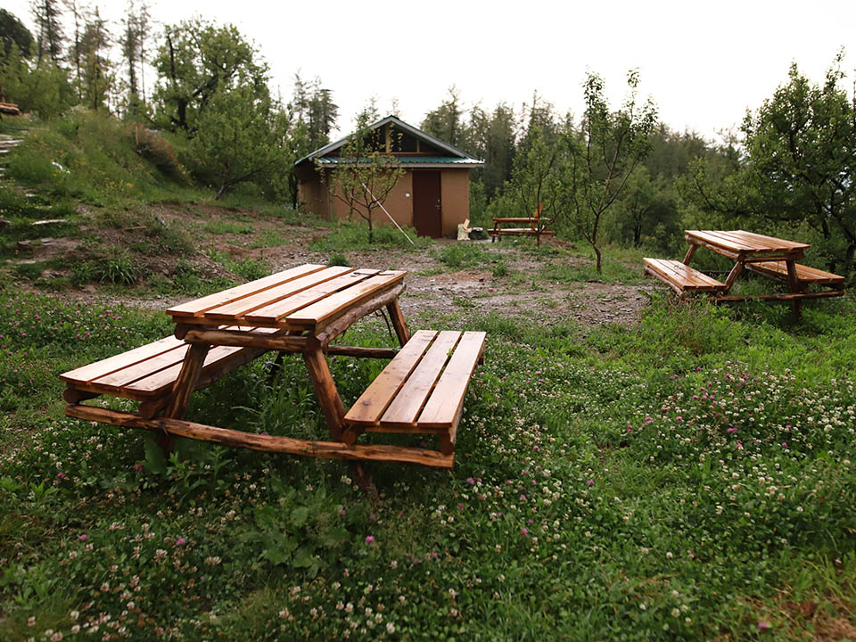 Beyond The Trails, kufri Photo - 8