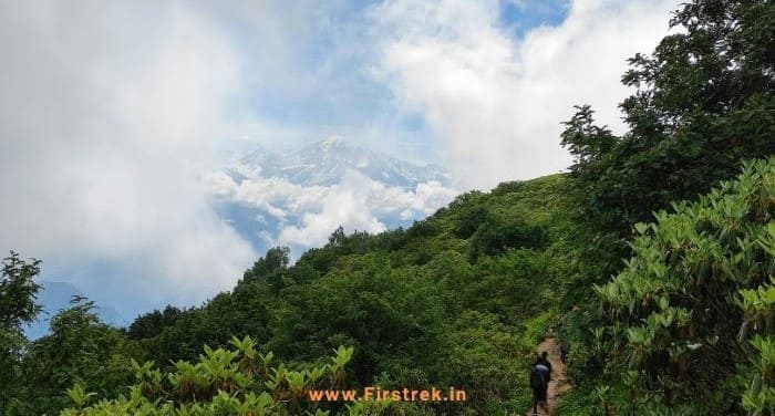 Rudranath Trek, Uttarakhand Photo - 10