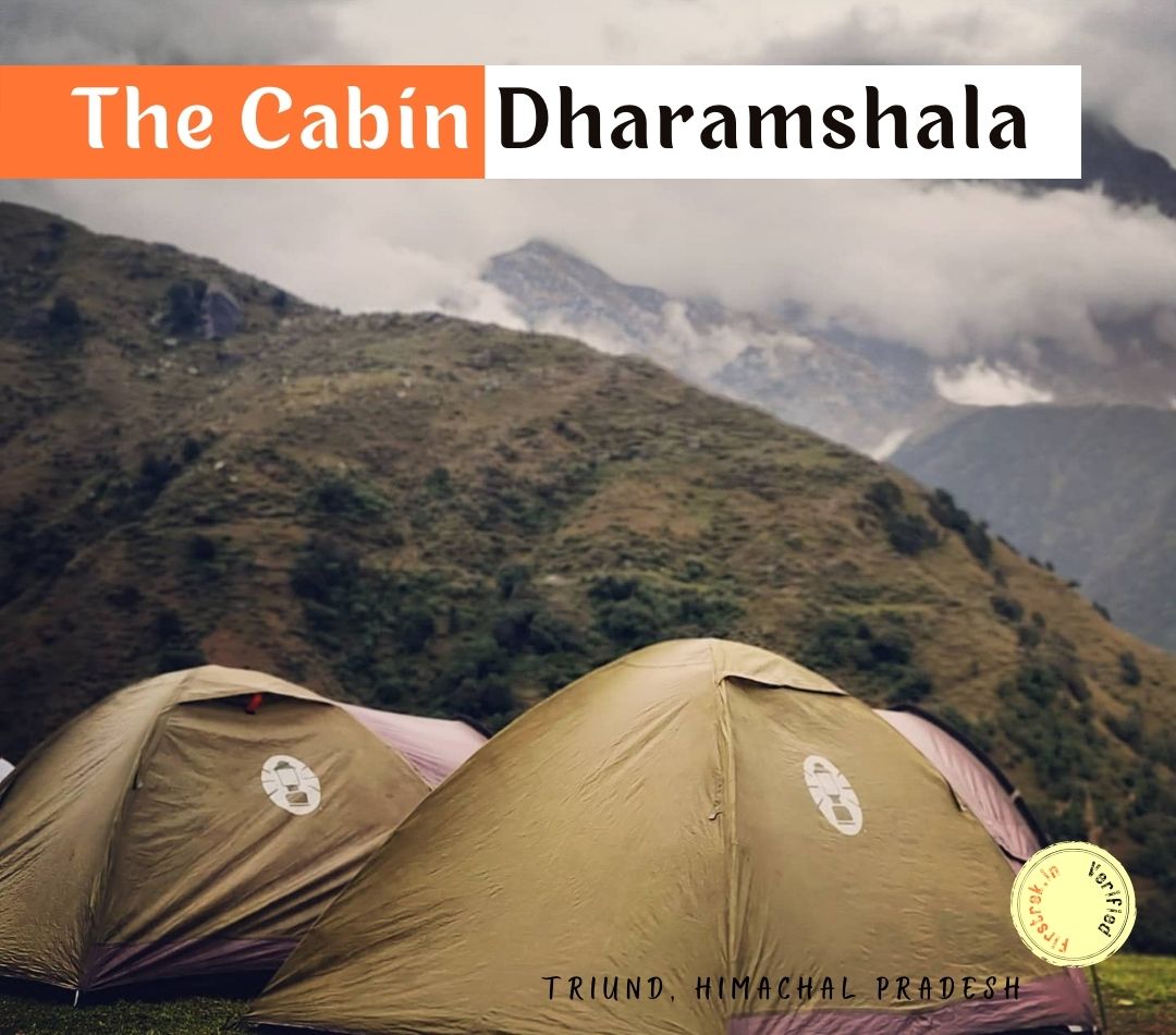 The Cabin Dharamshala, Himachal Pradesh