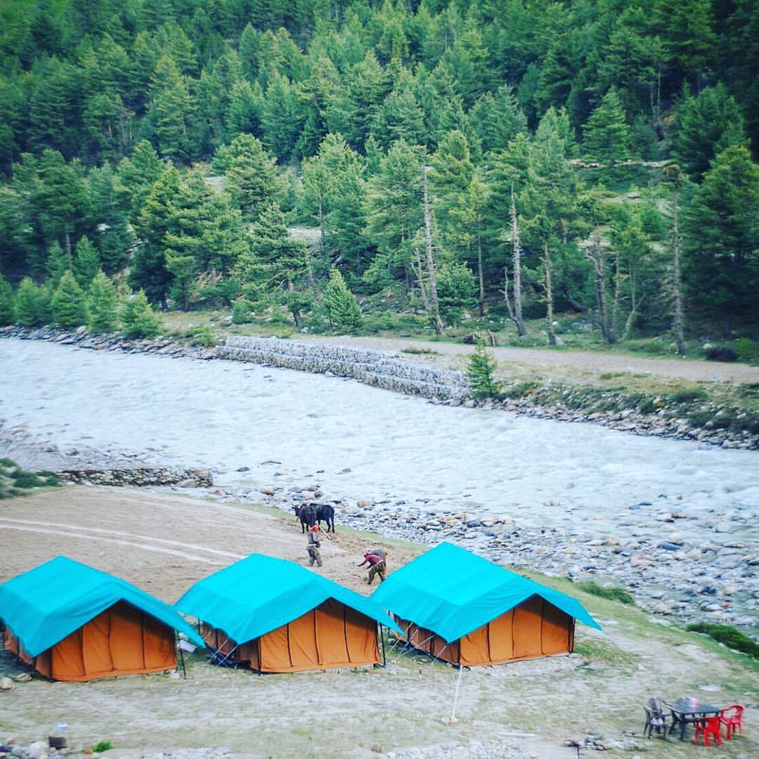Baspa River Camp, Chitkul, Sangla Photo - 9