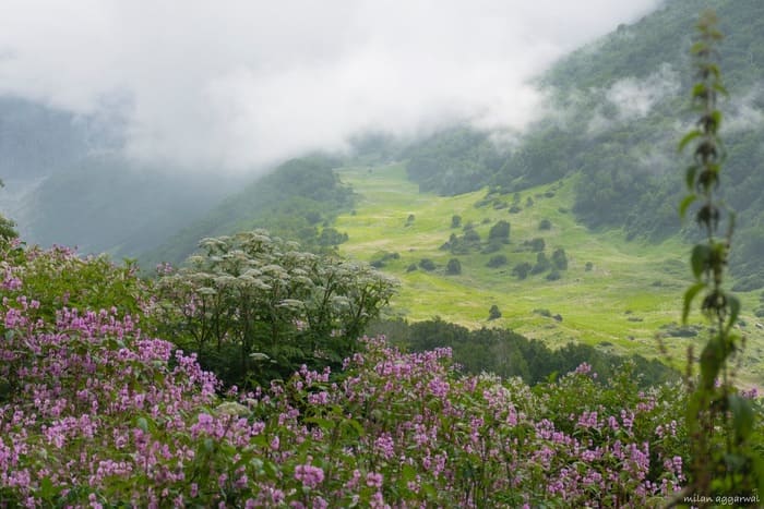 Valley of Flowers Trek, Uttarakhand Photo - 1