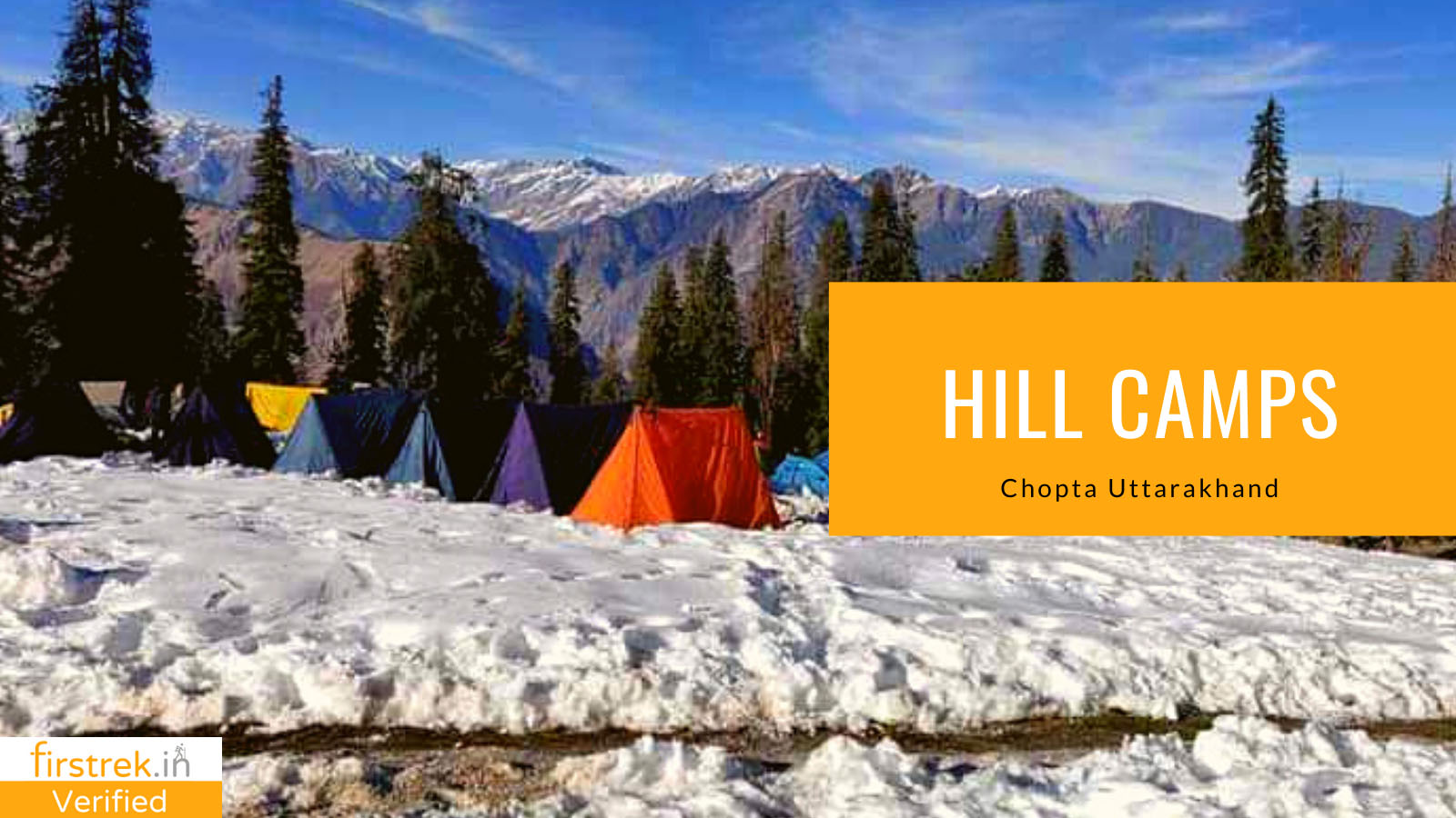 hill camps & fun camping in chopta