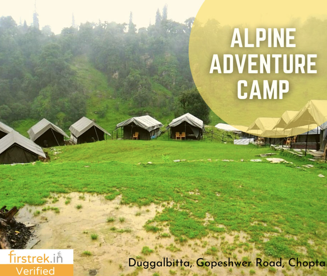 Alpine Adventure Camping Chopta