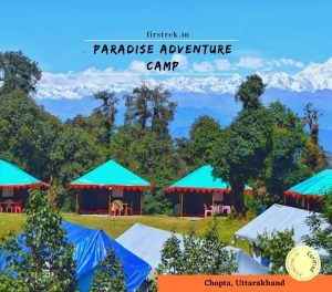 paradise adventure camp chopta