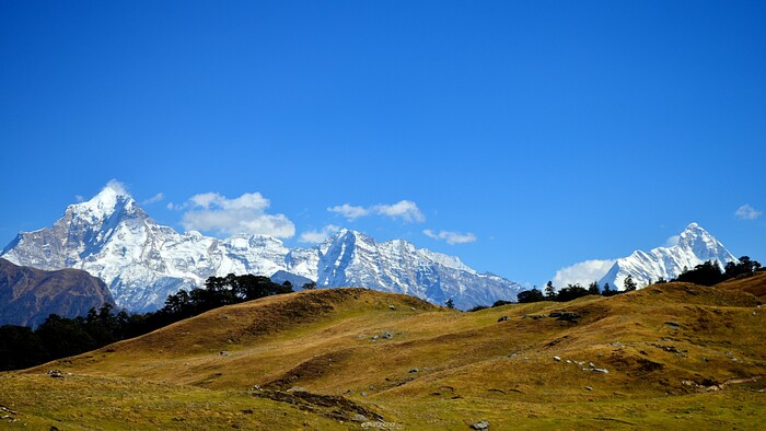 Gorson Bugyal Trek, Uttarakhand Photo - 0