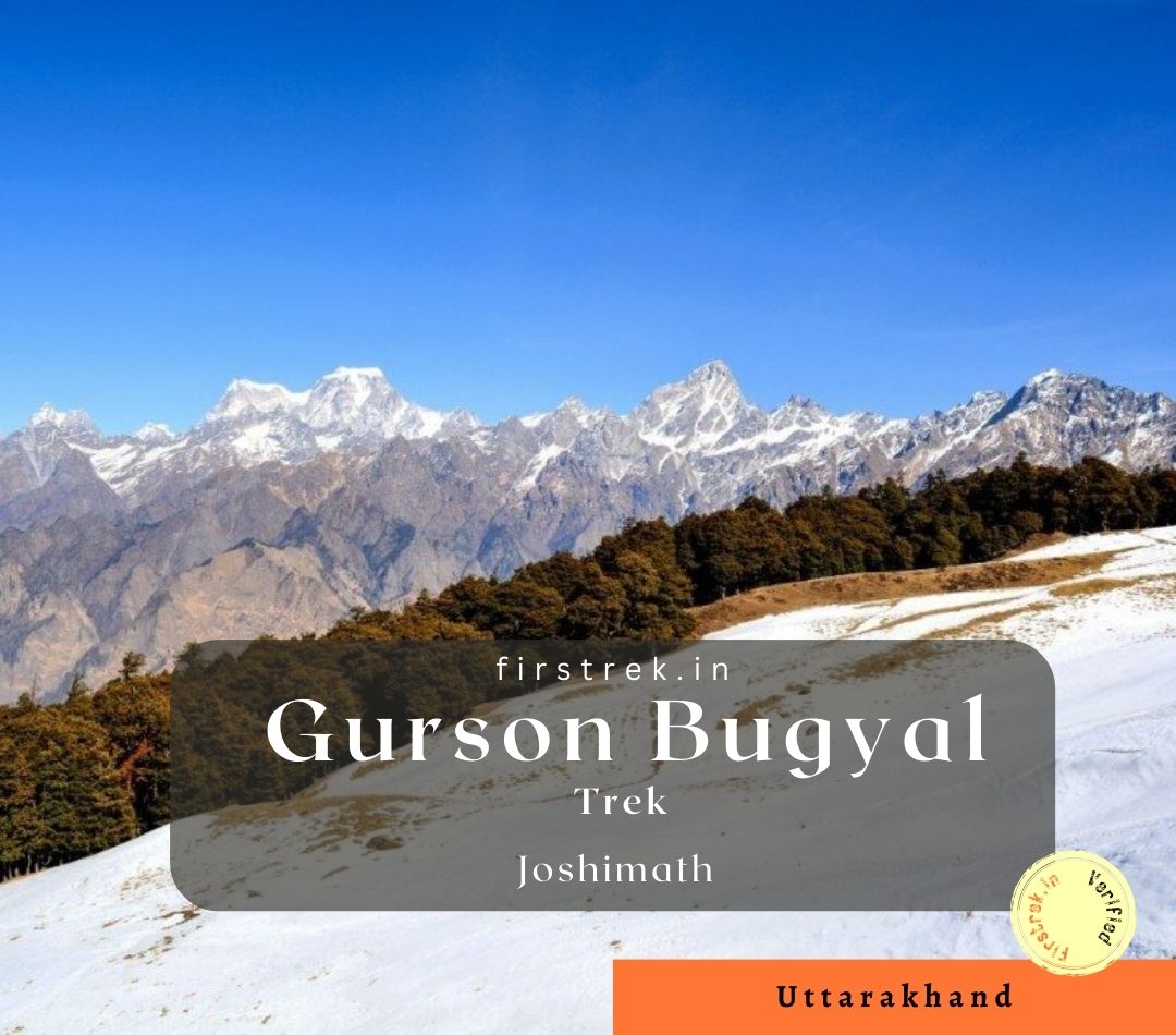 Gurson Bugyal Trek, Uttarakhand