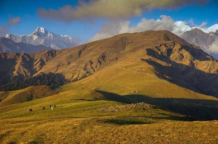 Ali Bedni Bugyal Trek Itinerary, Tour Guide | Book @11499 Only Photo - 3