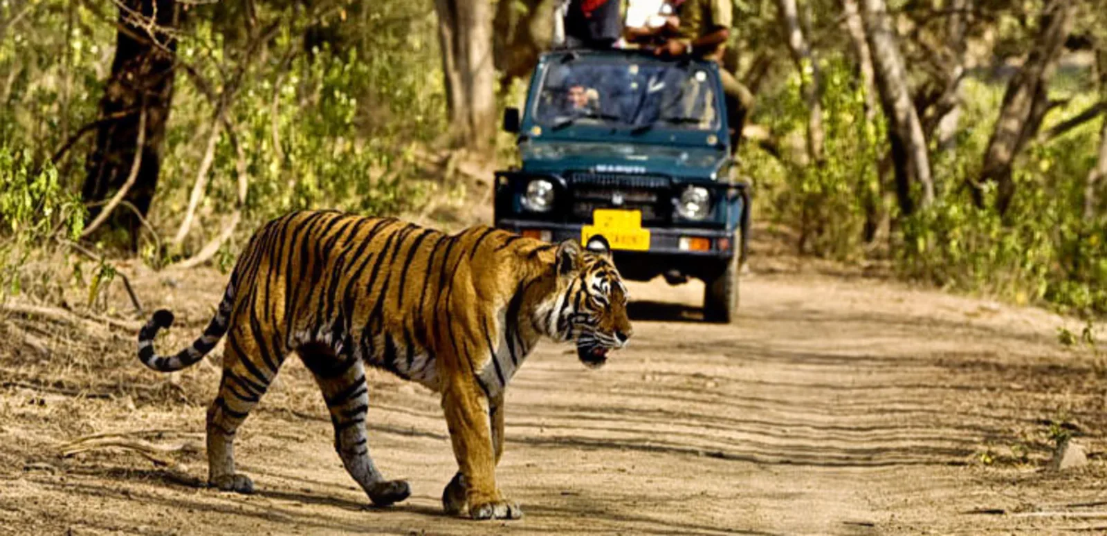 Rajaji Tiger Reserve, Rishikesh Photo - 3