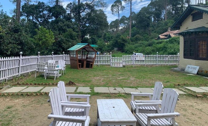 The Pine Hut Cafe & Homestay, Ranikhet Photo - 4
