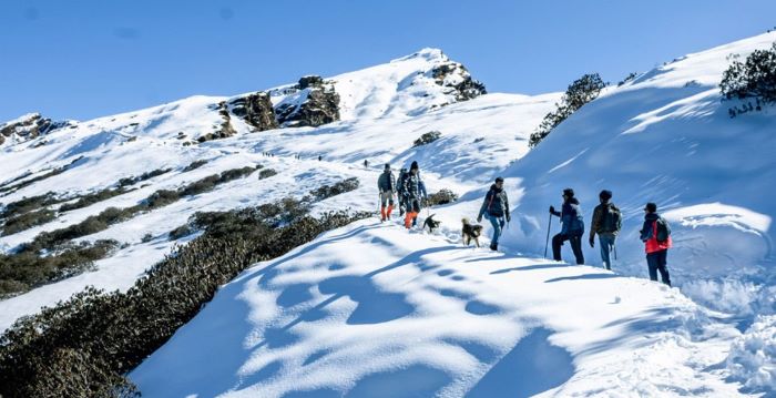 Snow Trekking Experience in Chopta Photo - 0