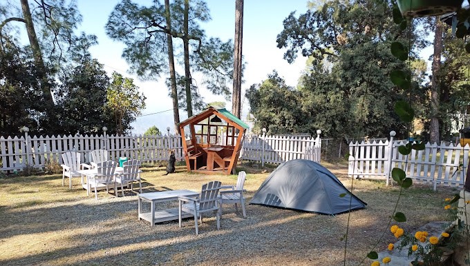 The Pine Hut Cafe & Homestay, Ranikhet Photo - 5