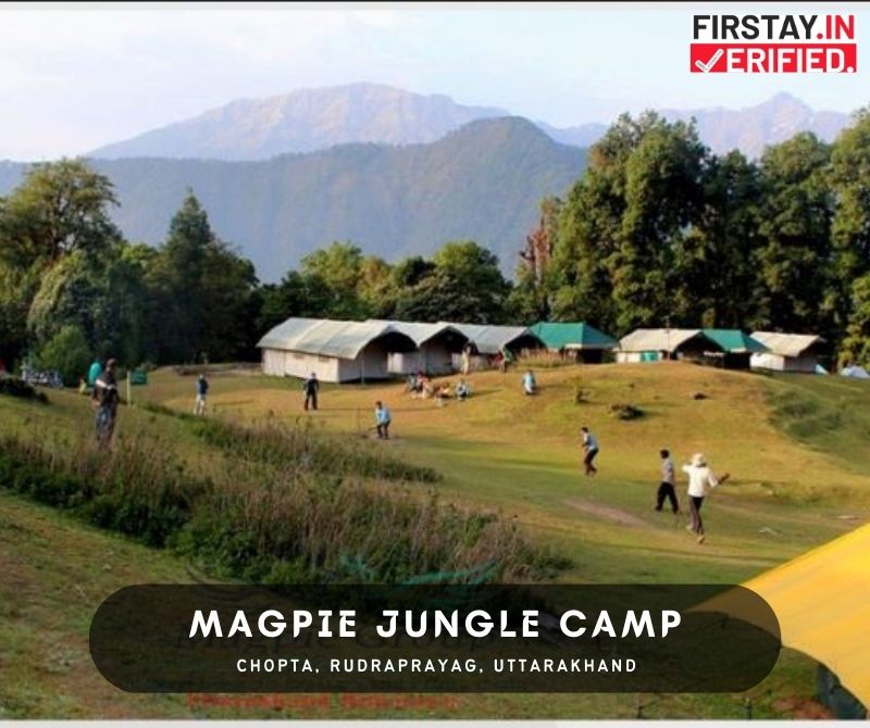 Magpie Jungle Camp, Chopta