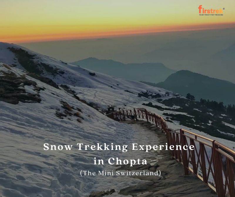 Snow Trekking Experience in Chopta