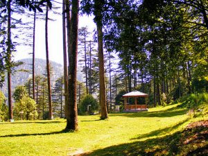 camping in tehri, best camps & packages upto 40% off 33