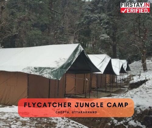 Flycatcher Jungle Camp, Chopta