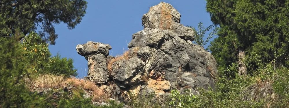 Camel Back Road, Mussoorie Photo - 0