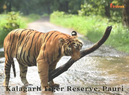 Kalagarh Tiger Reserve, Pauri