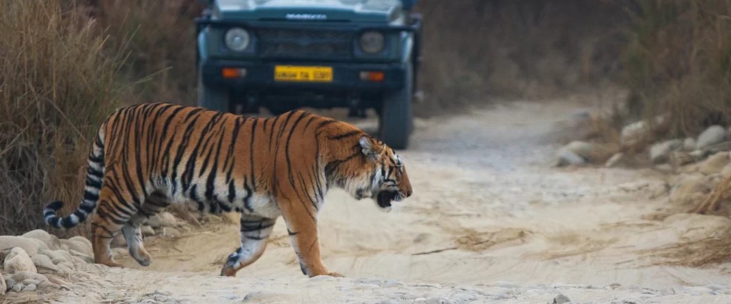 Kalagarh Tiger Reserve, Pauri Photo - 0